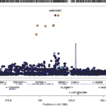 Genome-wide association study (GWAS) and genome-wide by environment interaction study (GWEIS) of depressive symptoms in African American and Hispanic/Latina Women