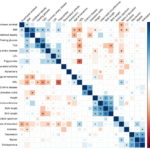 An atlas of genetic correlations across human diseases and traits